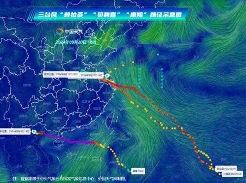 见过“诈尸”的台风吗？别急，过两天就能看到了。
