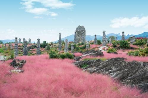 遇见最美秋天！寒露节气生态文旅品牌名录出炉 秋日出游正当时