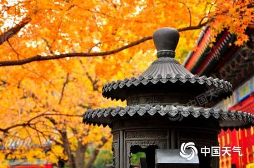 全国重阳节登高指数地图出炉 别错过这秋季十大最美“至高点”