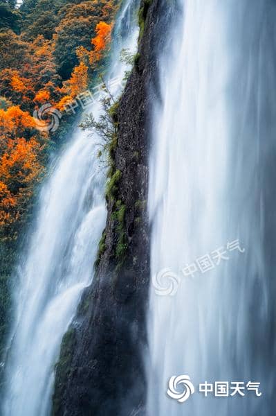 全国重阳节登高指数地图出炉 别错过这秋季十大最美“至高点”