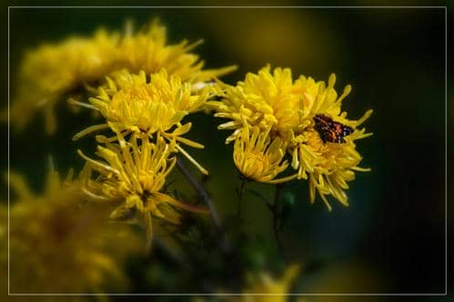 品味六地农珍 霜降节气全国名优特产品名录发布